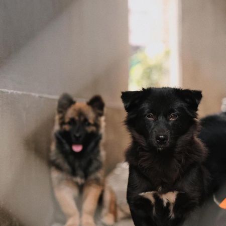 Susu Homestay Hue Thon Kim Long Экстерьер фото